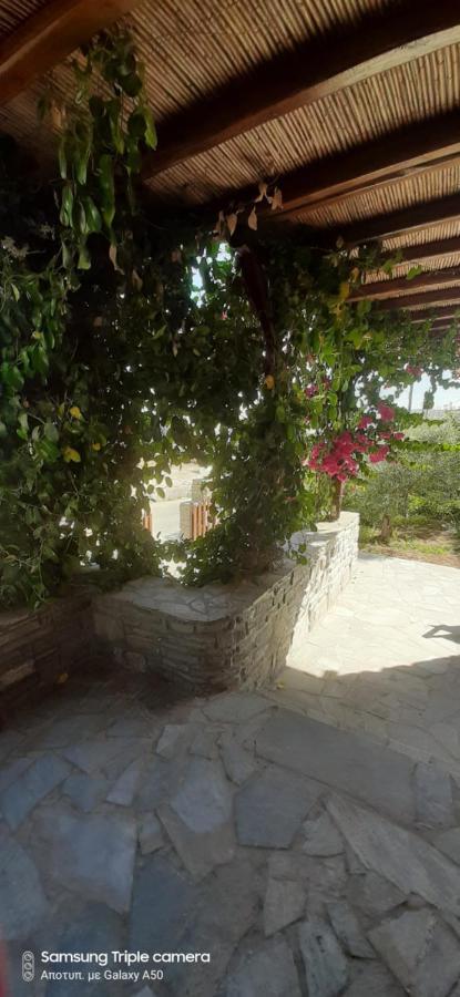 Ranias House Apartment Andiparos Bagian luar foto