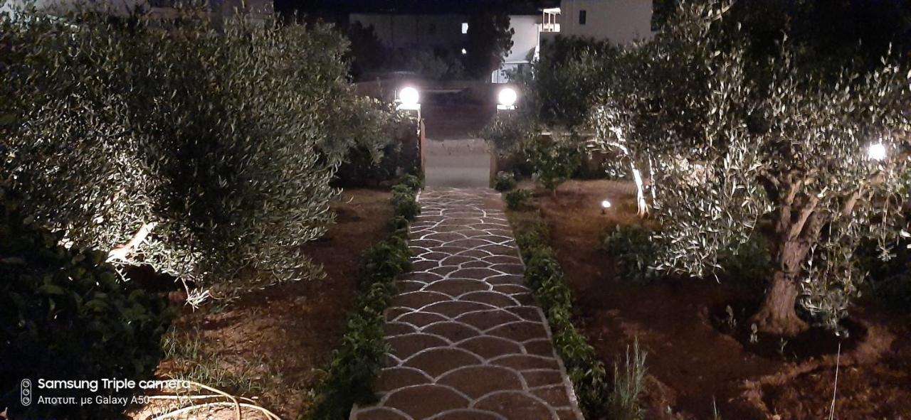 Ranias House Apartment Andiparos Bagian luar foto